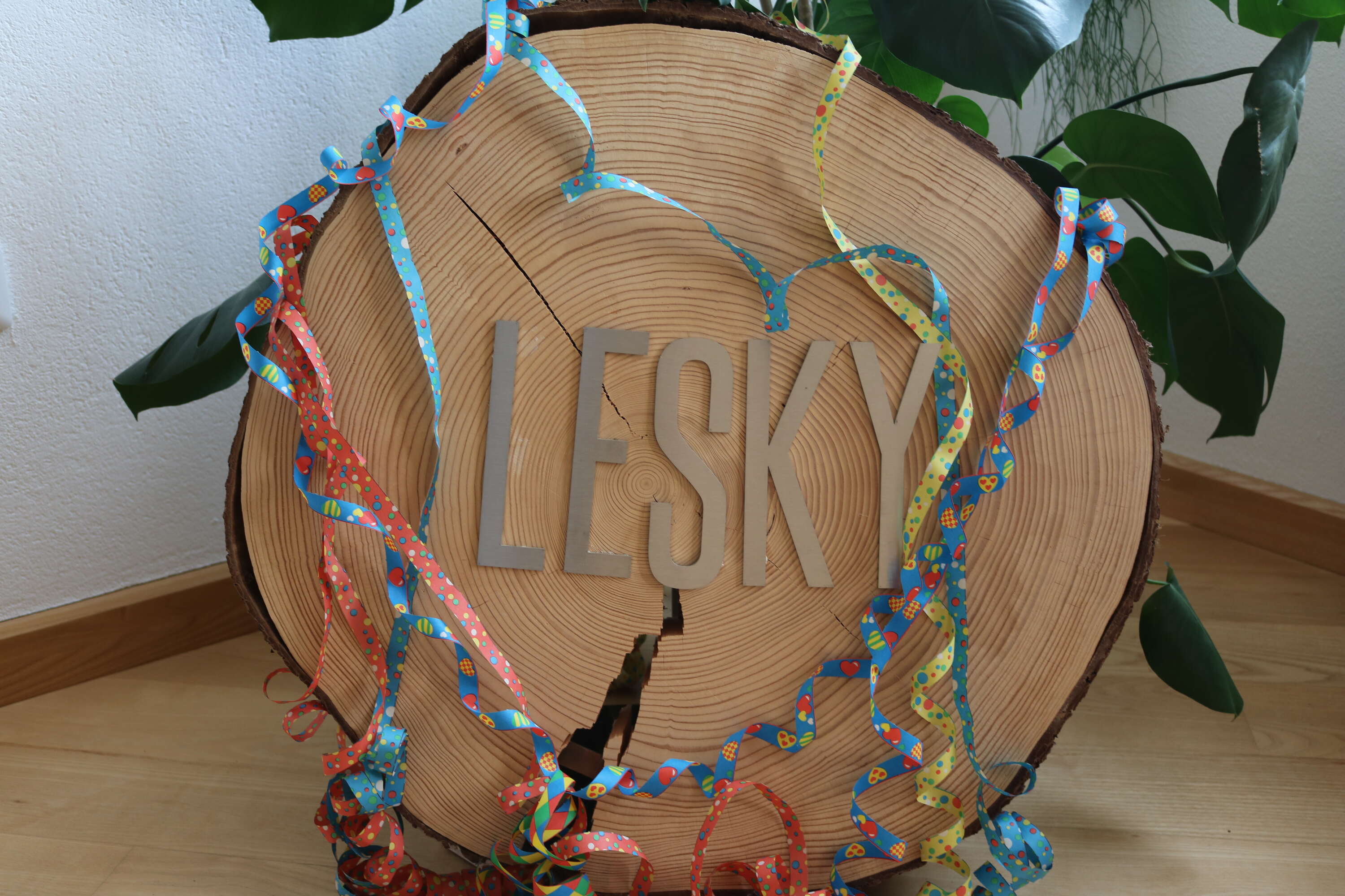 Lesky_feiert_Fasching